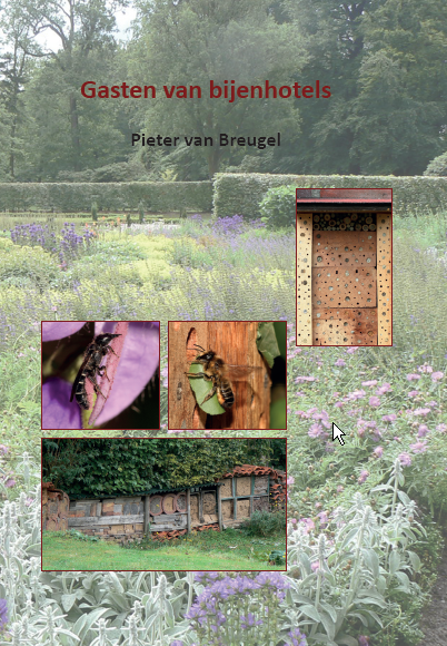 Gasten%20van%20bijenhotels.png